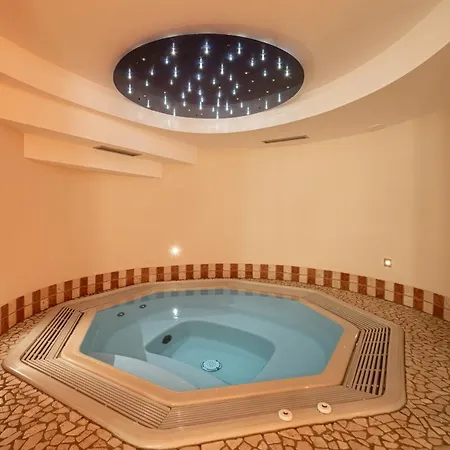 ホテル Enzian & Johannes 4*